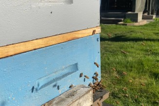 BEE METRO IMAGE