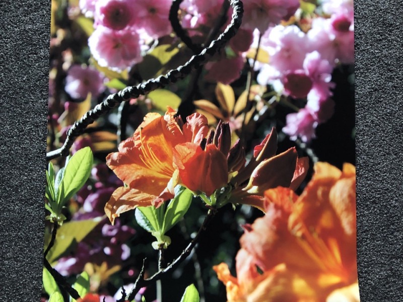 Tessa Wyse's Artwork