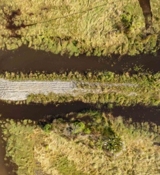 Newsline Wetland