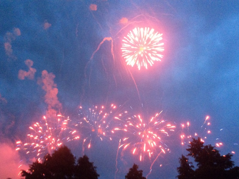 Fireworks fired off in Ashburton Domain