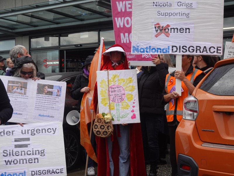 Protestor dressed in costume from "Haidmaids Tale"