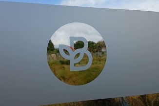 Brain Tree Logo Window