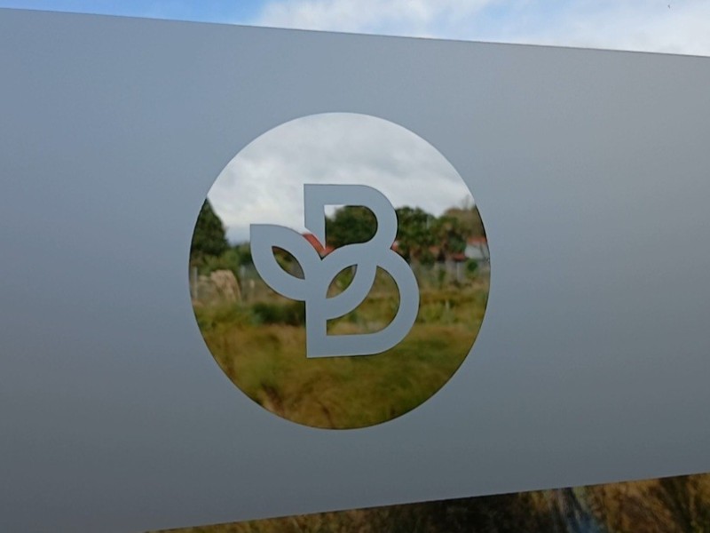 Brain Tree Logo Window