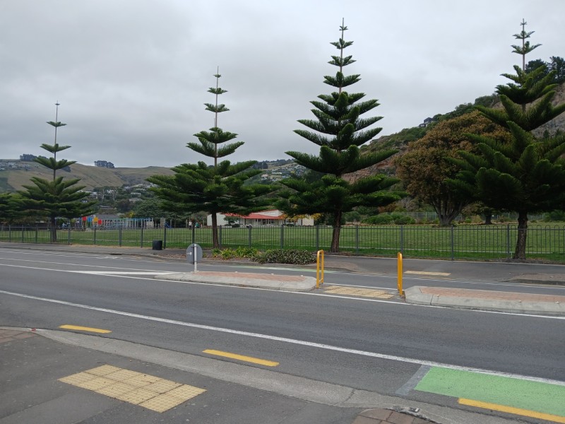 Te Papa Kura Redcliffs Park road view
