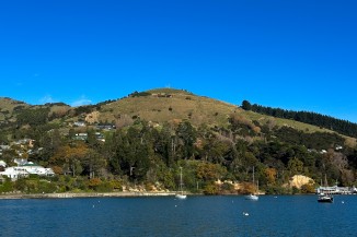 akaroa-slip-hillside