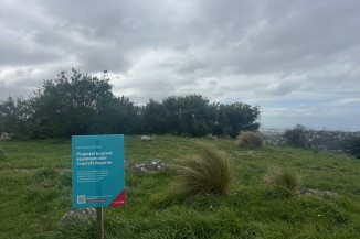 IMG 3215 optimized 2000