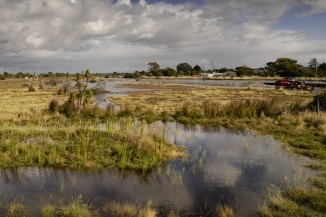 thumbnail WETLANDS 9