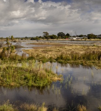thumbnail WETLANDS 9
